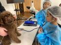 【こどもの休日の過ごし方】10/17出発 獣医さん体験ス