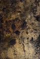 新進気鋭作家によるアート作品 2026年10月特設展示 新進気鋭作家によるアート作品 2026年10月特設展示