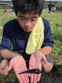 鳥海山麓の湧水の町を海外アーティストの目で見つめ直