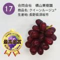 おいしい「ぶどう」NO.１が決定！今年の日本一は、合