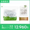 【10月8日は青パパイヤの日】収穫最盛期を迎える青パ