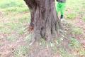 さきたま古墳公園（埼玉県行田市）の愛称が 「アサン