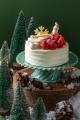 【ホテルオークラ新潟】『クリスマスケーキ＆パーティ