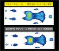 「アルファプラナース」新発売