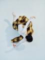 【and wander】WOMENS EDITORIAL IMAGES 2026 AUTUMN 