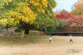 【開業後初の本格的な紅葉シーズン】紅葉狩りも、温泉