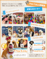 ペットと暮らす毎日をもっと楽しく！「ペッツトウキョ