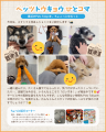 ペットと暮らす毎日をもっと楽しく！「ペッツトウキョ