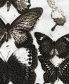 線香で画を描くアーティスト市川孝典、個展「FLEutf-8
