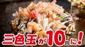 【通常920円お好み焼が10円に!?】どんどん亭「三色玉1 【通常920円お好み焼が10円に!?】どんどん亭「三色玉1