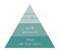 地球にも自分にも、正直が気持ちいい『Diane Be True(