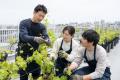 【自由が丘・川崎で満員】都市型ワインづくりが駒沢へ 【自由が丘・川崎で満員】都市型ワインづくりが駒沢へ