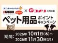 アプリからのエントリーで更にお得にポイント追加のチ