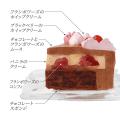 クリオロが贈る2026年の新作クリスマスケーキ