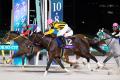 3歳ダート三冠競走最終戦 ジャパンダートクラシック( 3歳ダート三冠競走最終戦 ジャパンダートクラシック(