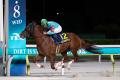 3歳ダート三冠競走最終戦 ジャパンダートクラシック( 3歳ダート三冠競走最終戦 ジャパンダートクラシック(
