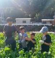 【5回目の開催決定】和歌山が、学びのキャンパスにな 【5回目の開催決定】和歌山が、学びのキャンパスにな