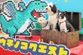 愛犬と楽しむ“クエスト型テーマパーク”が横浜赤レンガ