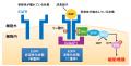 皮膚から脳、血液まで、さまざまな幹細胞を増やす3種