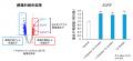 皮膚から脳、血液まで、さまざまな幹細胞を増やす3種