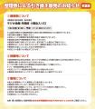 第十三回 博麗神社秋季例大祭「Giftぬいぐるみ」新商