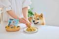 愛犬のごはんは「特別な日のごちそう」から「ふだんの