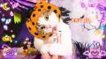 いなばペットフード　可愛い仮装の猫ちゃんたちが大集