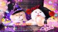 いなばペットフード　可愛い仮装の猫ちゃんたちが大集