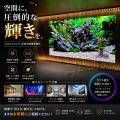 最新LEDビジョン・デジタルサイネージを体感できる「I