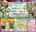 サボテン・多肉植物展を開催いたします！