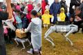 アカツキAIテクノロジーズ、「大洗海上花火大会2026」 アカツキAIテクノロジーズ、「大洗海上花火大会2026」
