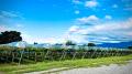 富山・魚津の風土を一夜のコースに。KANATA WINERYの