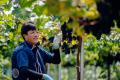 富山・魚津の風土を一夜のコースに。KANATA WINERYの