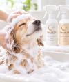 美容師が開発した犬用泡シャンプー&トリートメutf-8 美容師が開発した犬用泡シャンプー&トリートメutf-8