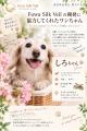 美容師が開発した犬用泡シャンプー&トリートメutf-8 美容師が開発した犬用泡シャンプー&トリートメutf-8
