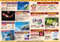 【海洋博公園】「美ら海通信10月号」発行！