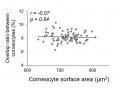 加齢により肥大化する角層は、肌細胞の増殖を妨げる 加齢により肥大化する角層は、肌細胞の増殖を妨げる