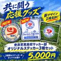 奈良育英高校サッカー部、クラウドファンディング1st