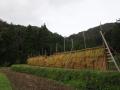 料理人も田んぼへ、蟹殻は土へ。京都・和久傳が20年以