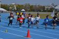 【愛知県豊橋市】市電と並走できる！「鈴木亜由子杯 