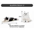 愛犬や愛猫のスマホ写真から簡単制作!オリジナルプリ 愛犬や愛猫のスマホ写真から簡単制作!オリジナルプリ