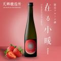 【福岡プリンスホテル ももち浜】カンヌを魅了するSAK
