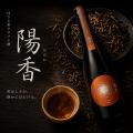 【福岡プリンスホテル ももち浜】カンヌを魅了するSAK