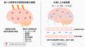 分子状水素は環境放射線に対する「守護分子」になり得