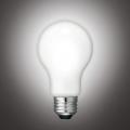 LEDフィラメント電球を発売