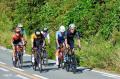 「第2回 MAY31cycling 阿蘇山ヒルクライム」開催、500 「第2回 MAY31cycling 阿蘇山ヒルクライム」開催、500