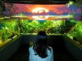 ナイトアクアリウムで800名が出会う「カワスイナイト