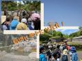 【こどもの休日の過ごし方】10/25出発 図鑑制作者の丸 【こどもの休日の過ごし方】10/25出発 図鑑制作者の丸