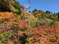 高低差763m、山麓から山頂へ広がる秋の絶景 身延山ロ