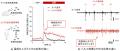 細胞で”痛みの入口”を再現 細胞で”痛みの入口”を再現